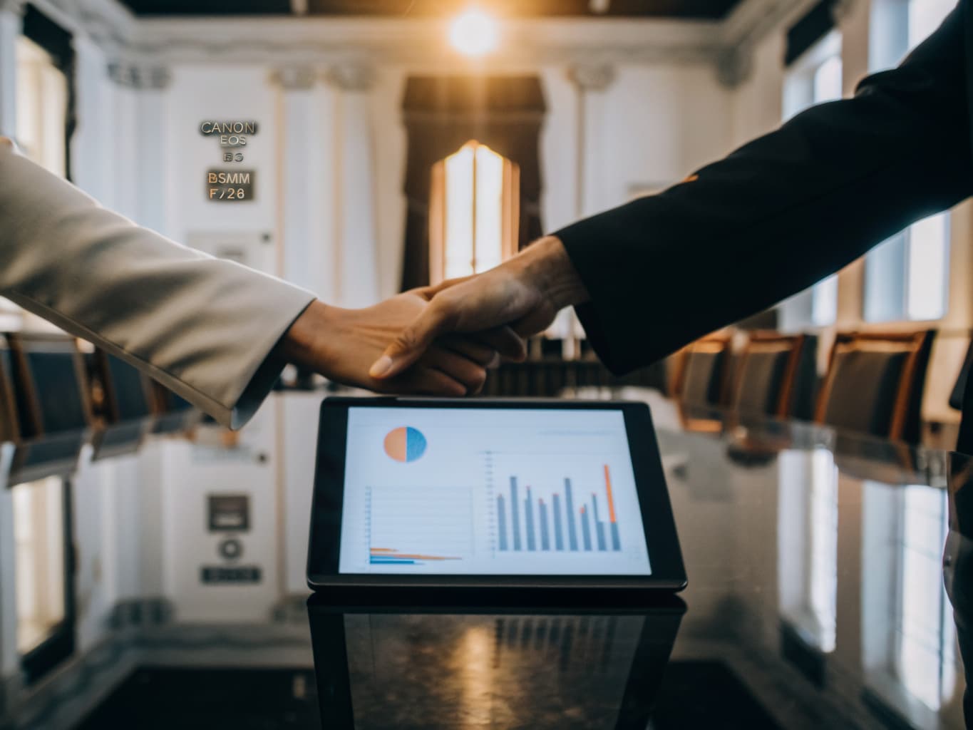 Professional financial consultation meeting